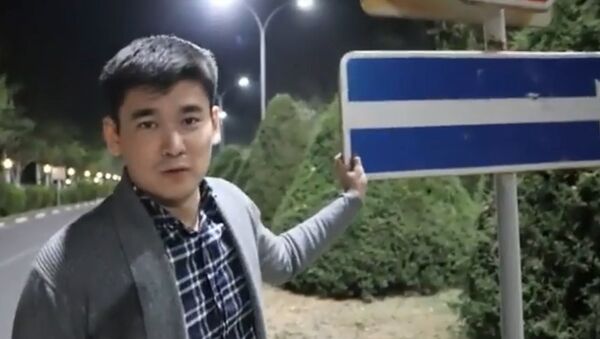 Болот Ибрагимов высмеял дорожный знак недалеко от аэропорта Манас — видео - Sputnik Кыргызстан