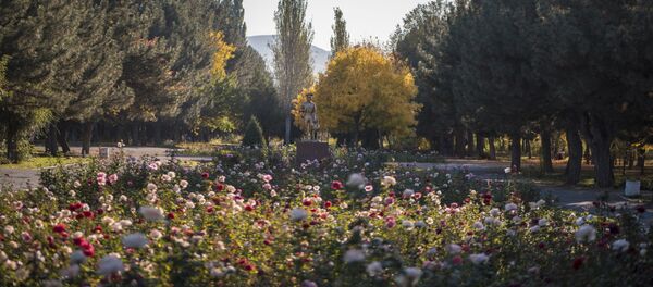 Бишкек шаарындагы Дайыр Асанов атындагы паркы. Архив Бишкек шаарындагы Дайыр Асанов атындагы паркы. Архив - Sputnik Кыргызстан