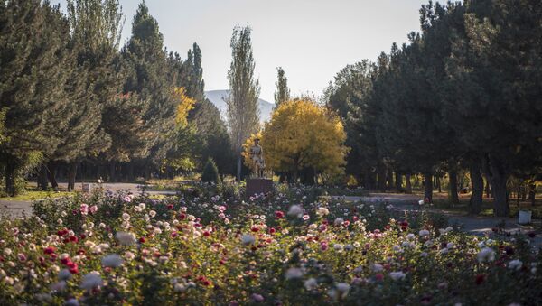 Бишкек шаарындагы Дайыр Асанов атындагы паркы. Архив - Sputnik Кыргызстан