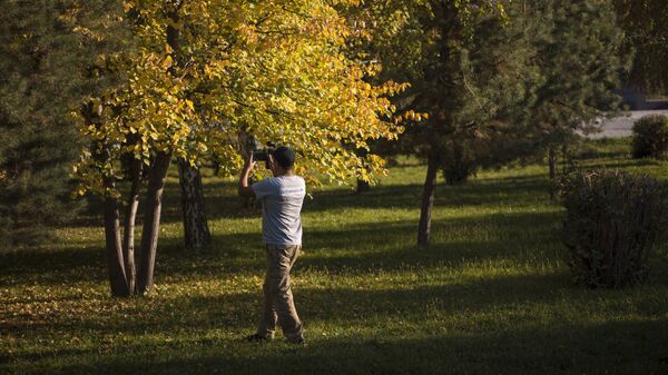 Мужчина фотографирует деревья в Бишкекском парке на телефон. Архивное фото - Sputnik Кыргызстан