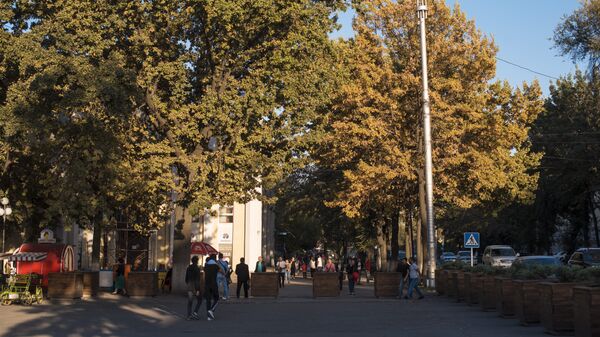 Люди возле кинотеатра Ала-Тоо в бишкеке. Архивное фото  - Sputnik Кыргызстан