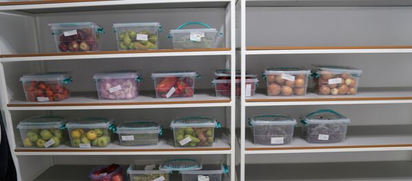 Бүгүн, 15-октябрда, Дордой-Дыйкан базарынын базасында түзүлгөн фитосанитардык логистикалык борбордун ачылыш аземи өттү - Sputnik Кыргызстан