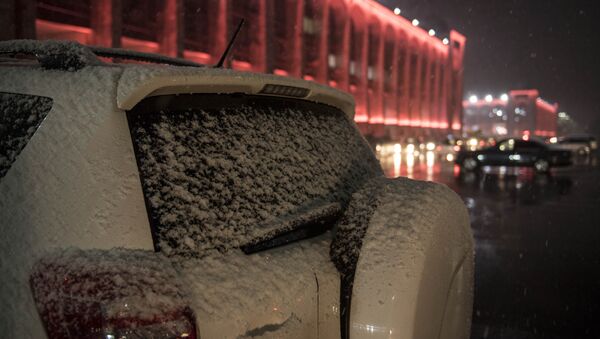 Мокрый снег в Бишкеке. Архивное фото - Sputnik Кыргызстан