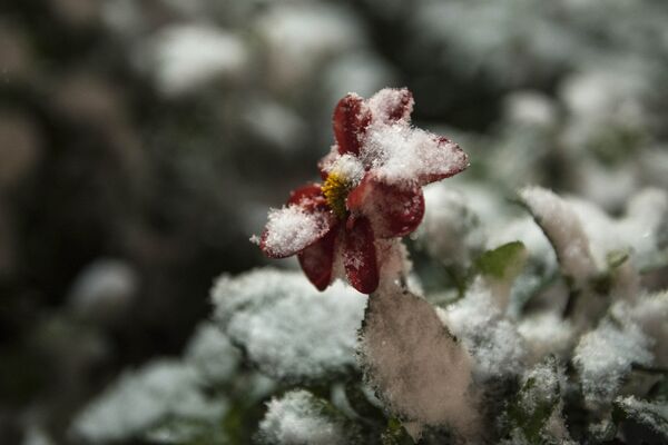 В выходные прошли дожди. - Sputnik Кыргызстан