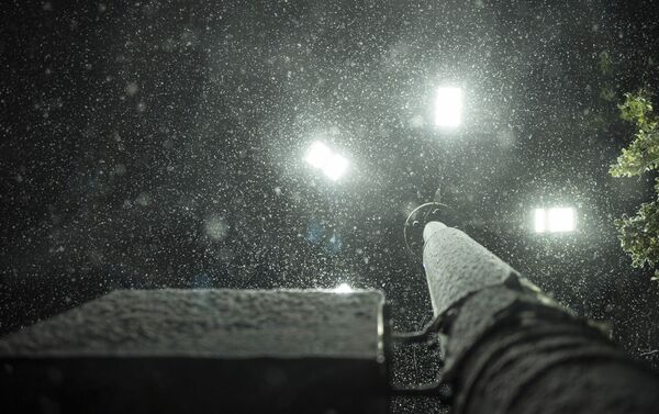 В Бишкеке сегодня вечером начался первый снег, он достаточно обильный. - Sputnik Кыргызстан