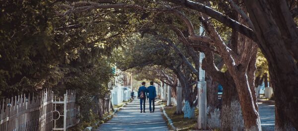 Лонгрид: Бул шаарда ажырашуу деген жок Алыскы. Айдаркенден кабар - Sputnik Кыргызстан