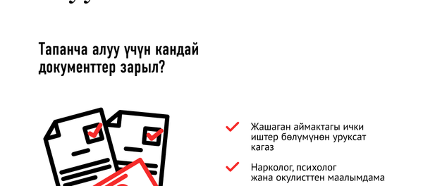 Травматикалык тапанчаны кантип сатып алууга болот? - Sputnik Кыргызстан