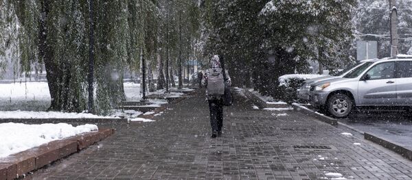 Снегопад в Бишкеке - Sputnik Кыргызстан