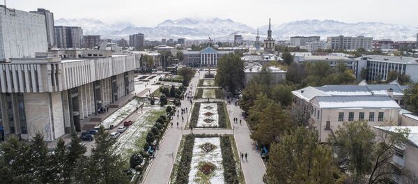 Вид с высоты на аллею Молодежи и здание столичного муниципалитета в Бишкеке. Архивное фото Вид с высоты на аллею Молодежи и здание столичного муниципалитета в Бишкеке. Архивное фото - Sputnik Кыргызстан