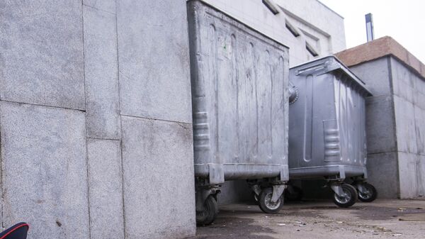 Мусорные контейнеры. Архивное фото - Sputnik Кыргызстан