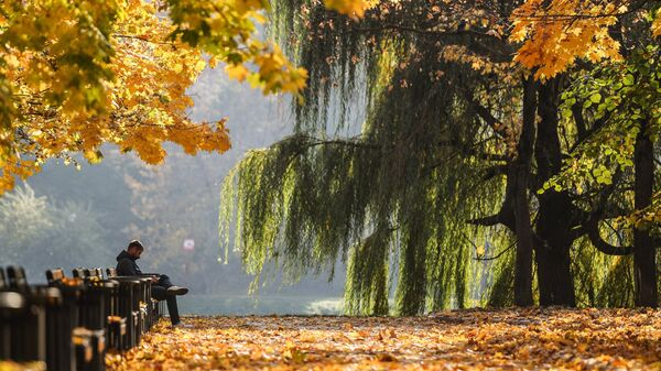 Күзгү жаратылыш. Архив  - Sputnik Кыргызстан