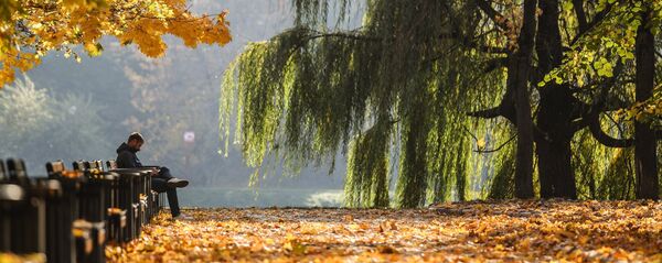 Сейил багы. Архив Сейил багы. Архив - Sputnik Кыргызстан