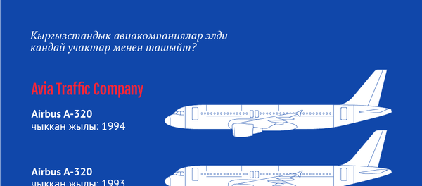 Кыргызстандык авиакомпаниялардын кудайлаткан учактары - Sputnik Кыргызстан