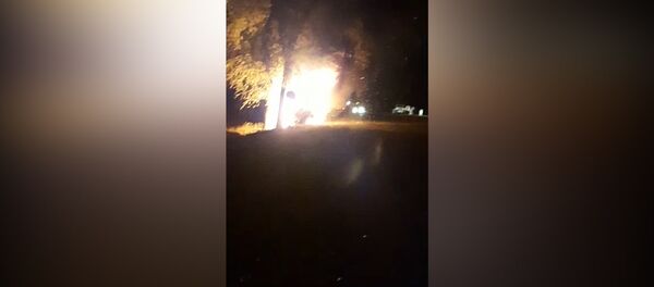 Под Бишкеком авто врезалось в дерево и сгорело — водитель в больнице. Видео - Sputnik Кыргызстан