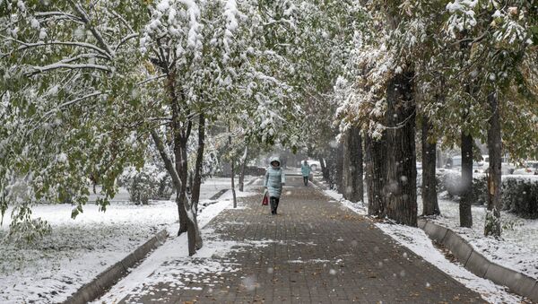 Первый снег в Бишкеке. Архивное фото - Sputnik Кыргызстан