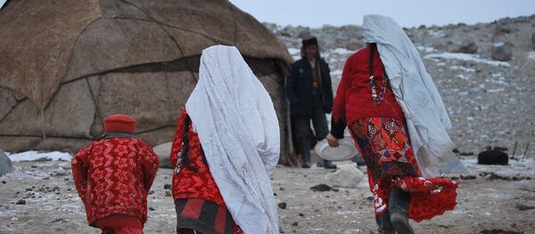 Памирлик кандаштар Кыргызстанда калабы. Кайчы пикирлер - Sputnik Кыргызстан