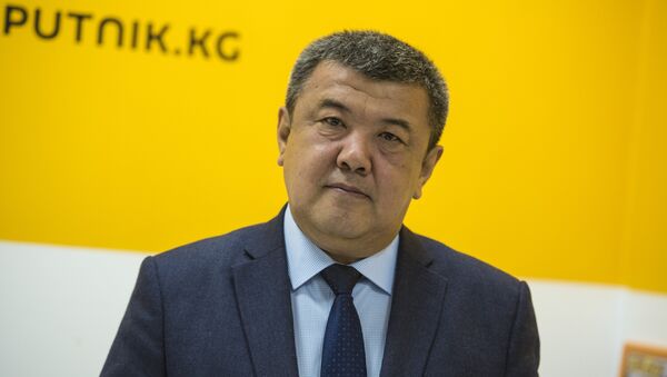 Борбордук шайлоо комиссиясынын төрайымынын орун басары Абдыжапар Бекматов - Sputnik Кыргызстан