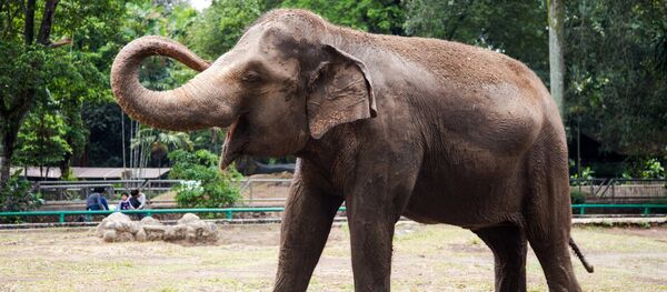 Города мира. Джакарта - Sputnik Кыргызстан