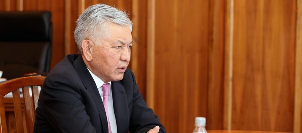 Депутат Жогорку Кенеша Иса Омуркулов. Архивное фото - Sputnik Кыргызстан