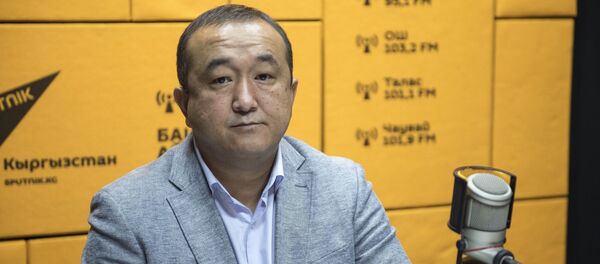 Өкмөткө караштуу Интеллектуалдык менчик жана инновациялар мемлекеттик кызматынын экспертизалоо башкармалыгынын башчысы Артык Базаркулов Өкмөткө караштуу Интеллектуалдык менчик жана инновациялар мемлекеттик кызматынын экспертизалоо башкармалыгынын башчысы Артык Базаркулов - Sputnik Кыргызстан