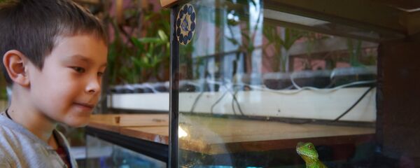 Священник организовал зоосад при храме в Санкт-Петербурге - Sputnik Кыргызстан