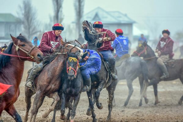 Чемпионат КР по кок-бору в Оше - Sputnik Кыргызстан