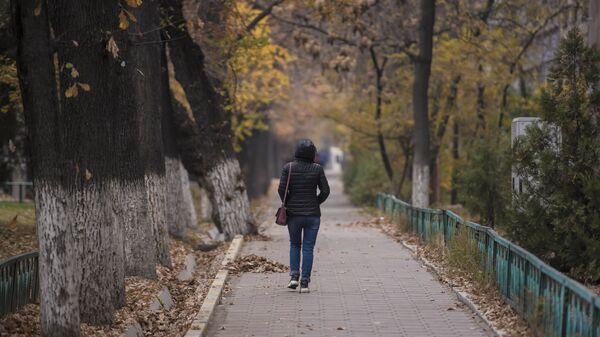 Девушка идет на одной из улиц Бишкека. Архивное фото - Sputnik Кыргызстан
