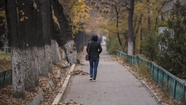 Девушка идет на одной из улиц Бишкека. Архивное фото - Sputnik Кыргызстан