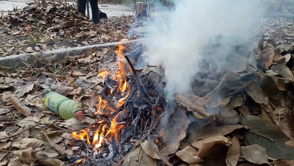 Почему опасно сжигать листву — факты, которые вы могли не знать. Видео - Sputnik Кыргызстан
