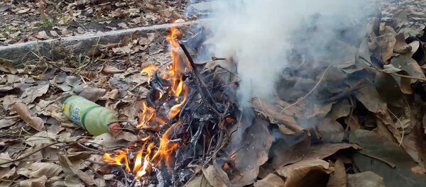 Почему опасно сжигать листву — факты, которые вы могли не знать. Видео - Sputnik Кыргызстан