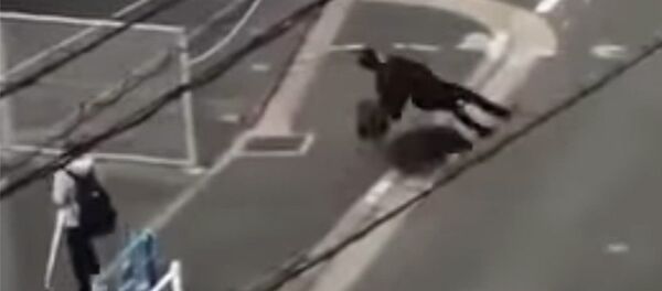 Кабан напал на ничего подозревающего прохожего и чуть не убил его. Видео - Sputnik Кыргызстан