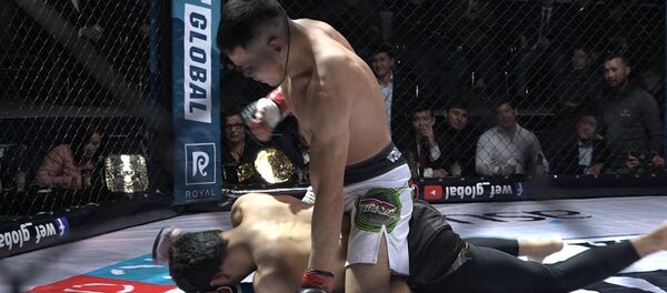 Тайсон тажик атаандашын баш көтөртпөй жеңип алды. Беттештин видеосу - Sputnik Кыргызстан