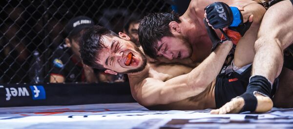 Международный турнир ММА WEF Global в Бишкеке - Sputnik Кыргызстан