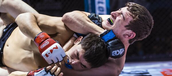 Международный турнир ММА WEF Global в Бишкеке Международный турнир ММА WEF Global в Бишкеке - Sputnik Кыргызстан