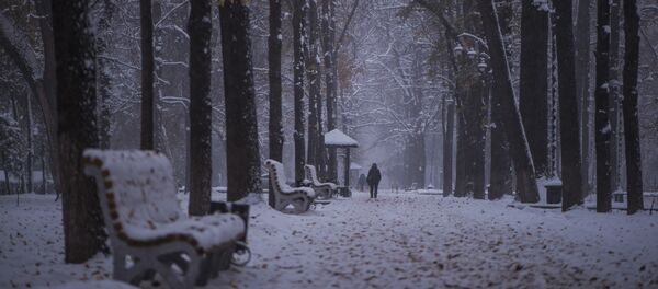 Бульвар Эркиндик во время снегопада в Бишкеке - Sputnik Кыргызстан