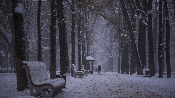 Люди идут по улице во время снегопада. Архивное фото - Sputnik Кыргызстан