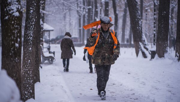 Сотрудник МП Тазалык идет по бульвару Эркиндик во время снегопада в Бишкеке - Sputnik Кыргызстан