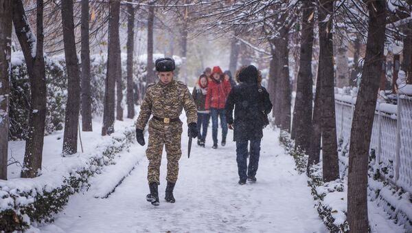 Горожане идут по тротуару во время снегопада в Бишкеке. Архивное фото - Sputnik Кыргызстан
