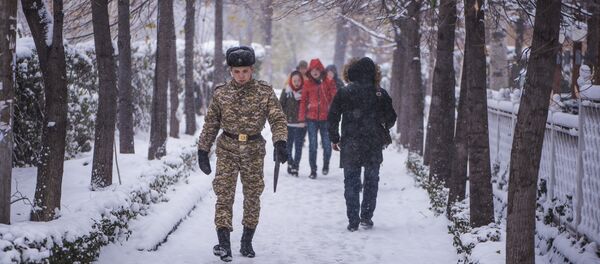 Горожане идут по тротуару во время снегопада в Бишкеке. Архивное фото - Sputnik Кыргызстан