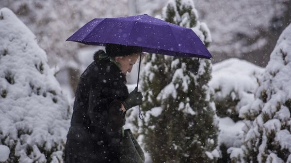 Женщина с зонтом во время снегопада в Бишкеке. Архивное фото - Sputnik Кыргызстан