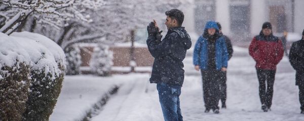 Парень фотографирует деревья во время снегопада в Бишкеке - Sputnik Кыргызстан