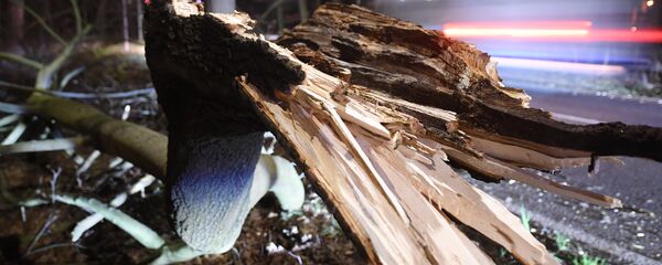 Последствие сильного ветра в Лейпциге - Sputnik Кыргызстан