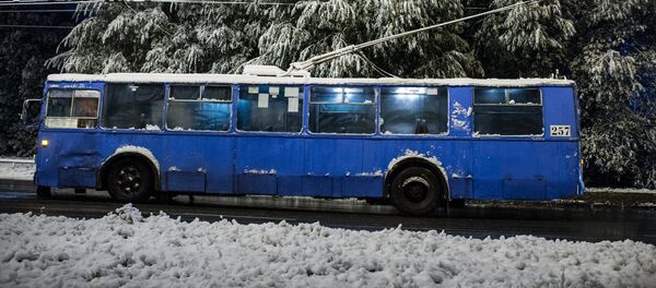 В Омске выпал первый снег - Sputnik Кыргызстан