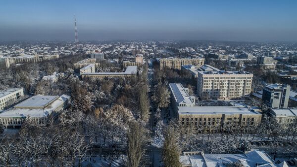 Вид на дневной Бишкек с дрона после снегопада. Архивное фото - Sputnik Кыргызстан