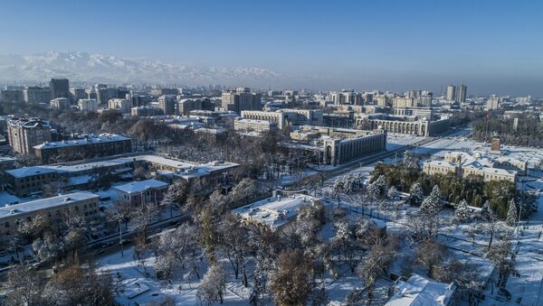 Вид на дневной Бишкек с дрона после снегопада. Архивное фото - Sputnik Кыргызстан