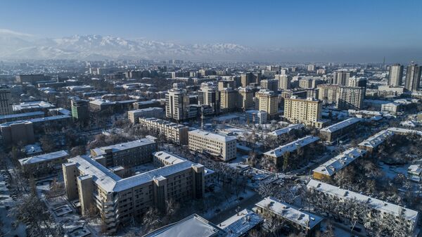 Вид на дневной Бишкек с дрона после снегопада. Архивное фото - Sputnik Кыргызстан
