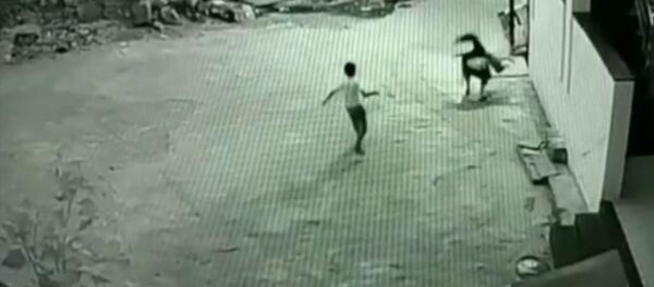 Подросток случайно спас друга, сорвавшегося с третьего этажа, — видео из Индии - Sputnik Кыргызстан