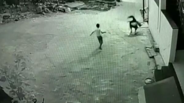 Подросток случайно спас друга, сорвавшегося с третьего этажа, — видео из Индии - Sputnik Кыргызстан