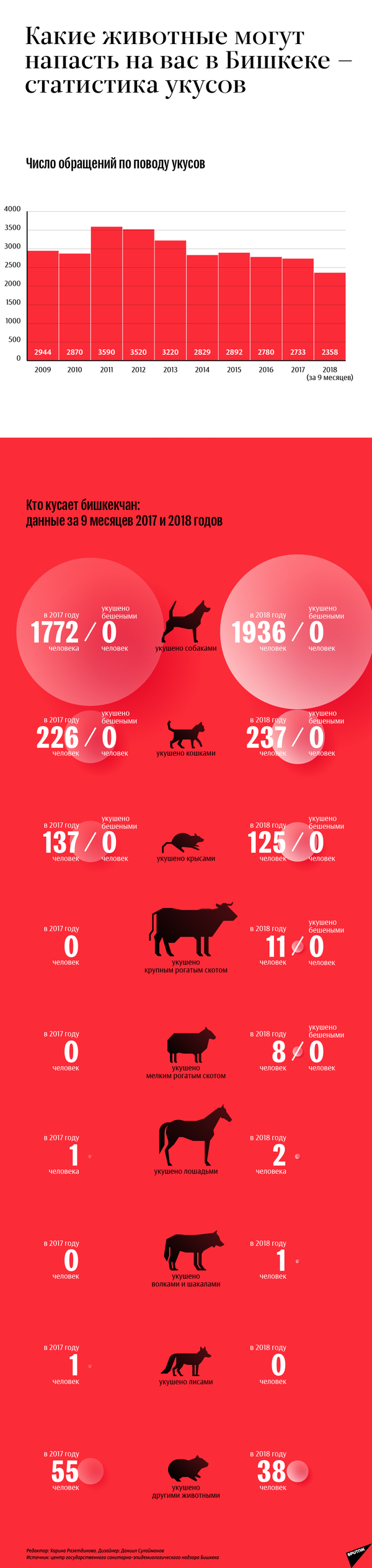 Какие животные могут напасть на вас в Бишкеке — статистика укусов - Sputnik Кыргызстан