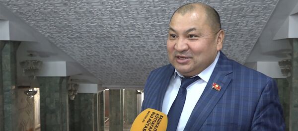 Смогут ли депутаты прожить на 4 655 сомов в месяц? Видео-опрос Смогут ли депутаты прожить на 4 655 сомов в месяц? Видео-опрос - Sputnik Кыргызстан